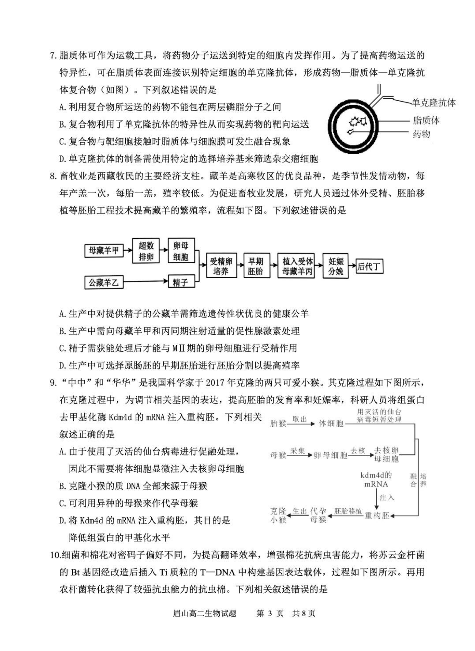 高三2026届高考滚动检测卷(六)6生物答案