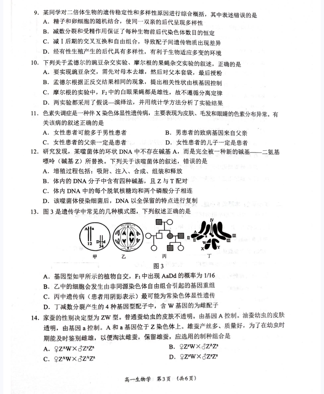 [伯乐学教育]2025年普通高等学校招生全国统一考试 信息冲刺(四)4生物(C)试题