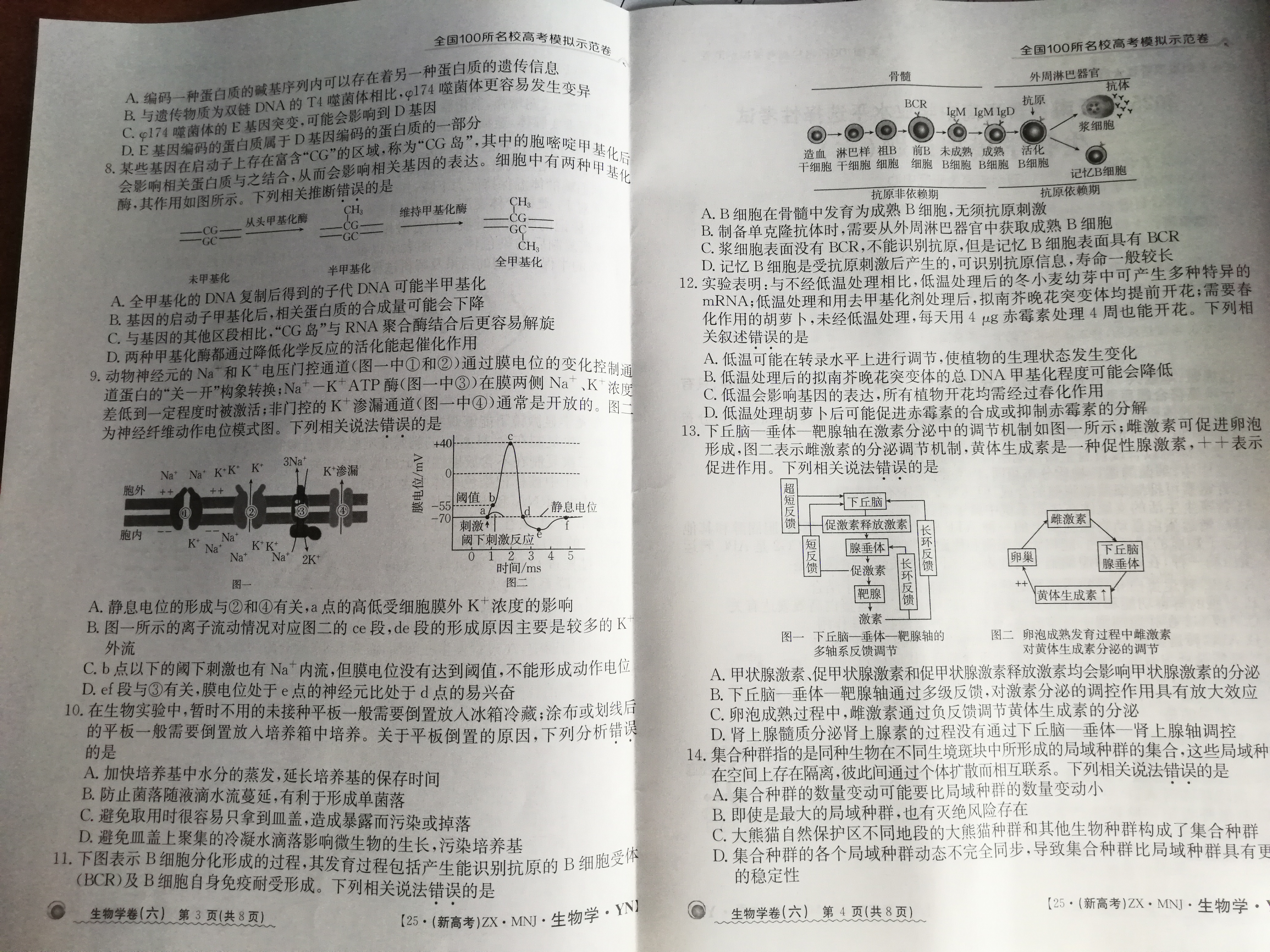 [伯乐学教育]2025年普通高等学校招生全国统一考试 信息冲刺(四)4生物(A)答案
