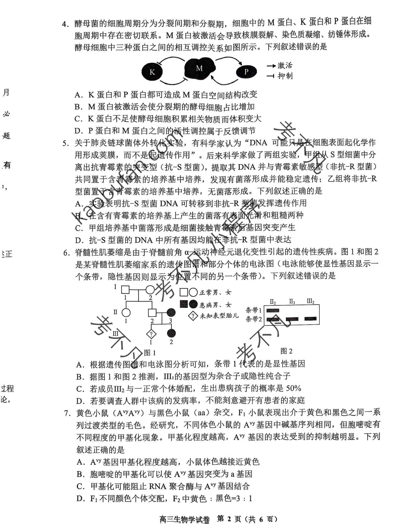 [智慧上进]2025届名校学术联盟·高考模拟信息卷&冲刺卷&预测卷(十)10生物·SX试题