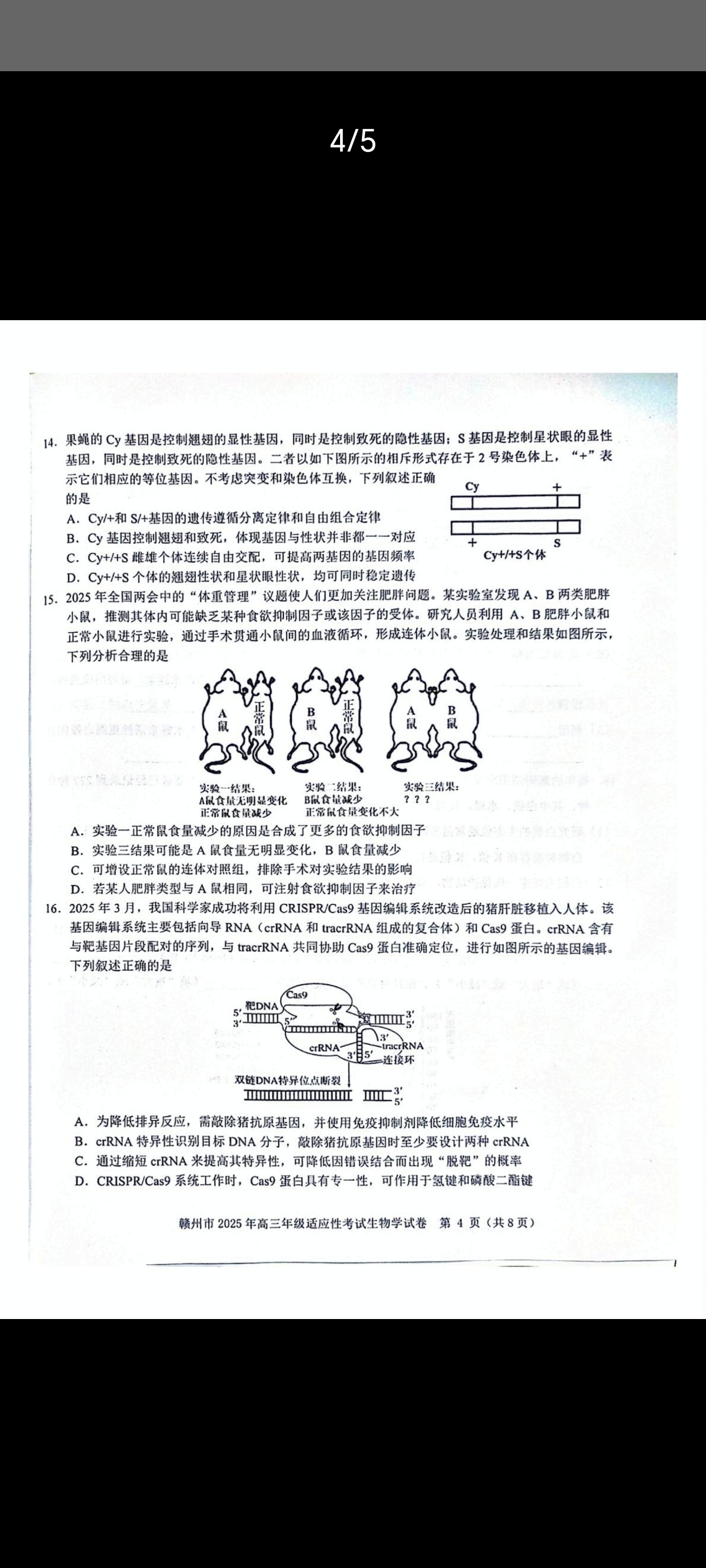 [伯乐学教育]2025年普通高等学校招生全国统一考试 信息冲刺(四)4生物(B)答案
