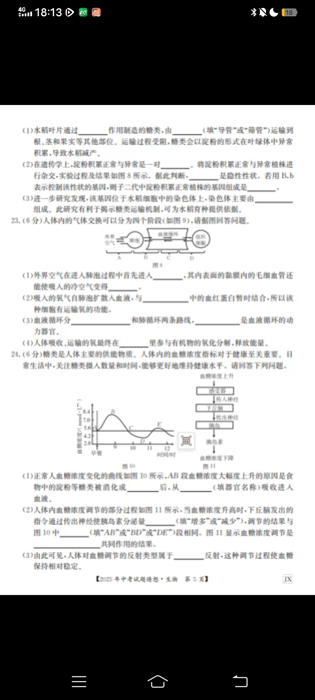 [九师联盟]2026届9月高三开学考生物学X试题