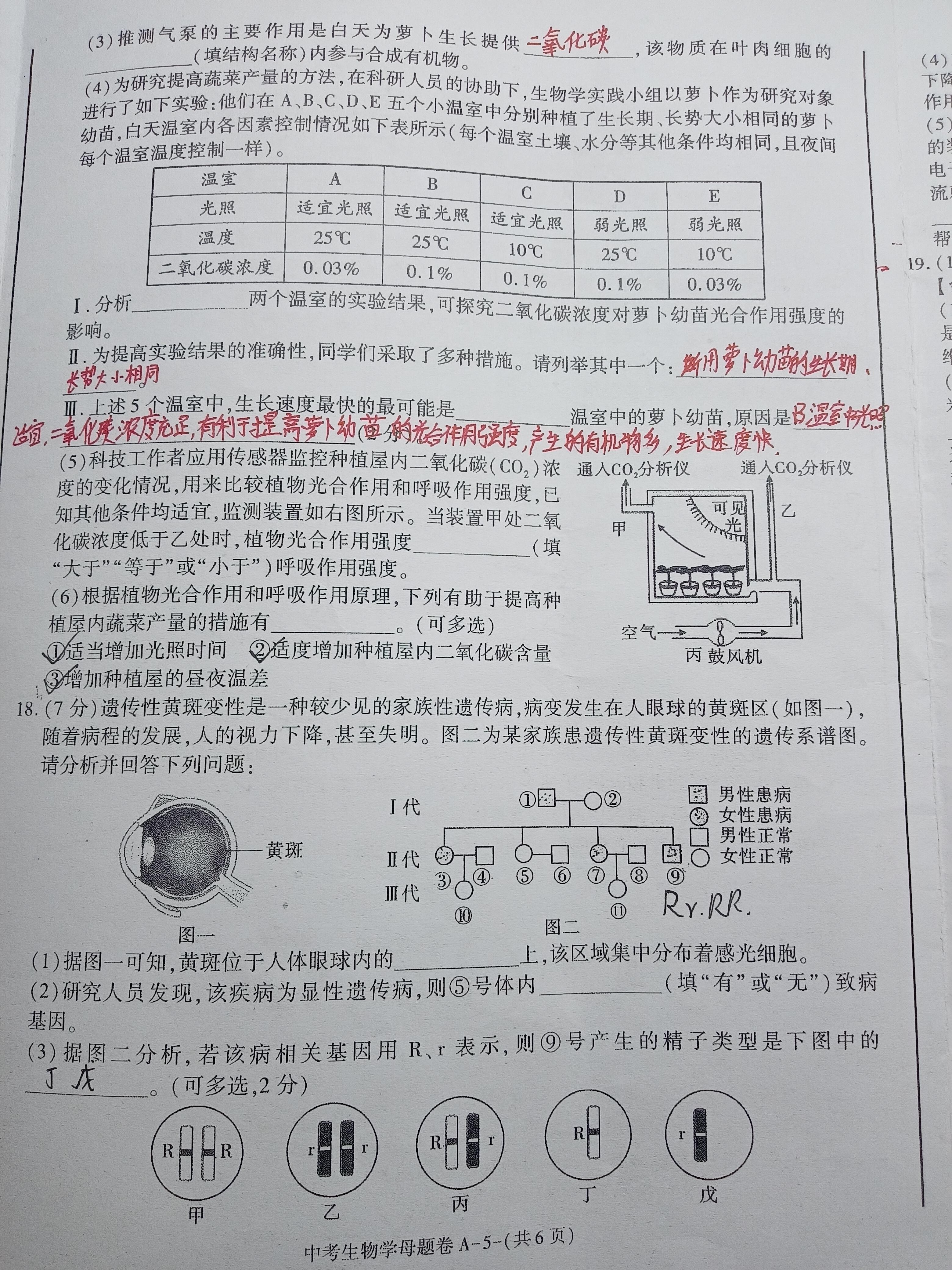 高三2026届高考滚动检测卷(六)6生物A试题