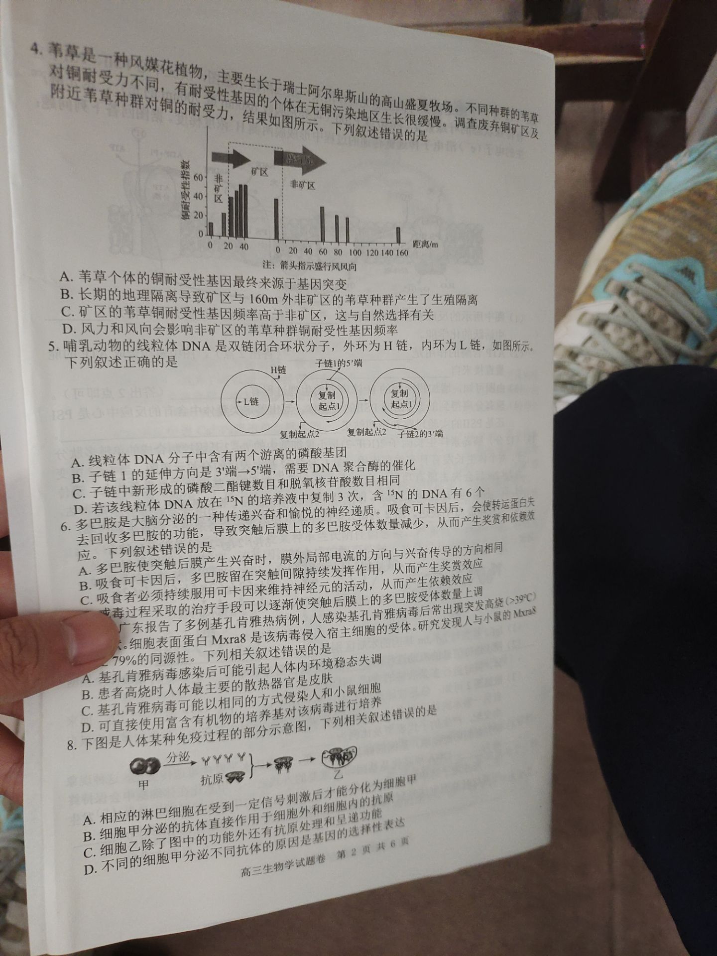 山东省齐鲁名校大联考2026届山东省高三第一次学业水平联合检测生物答案