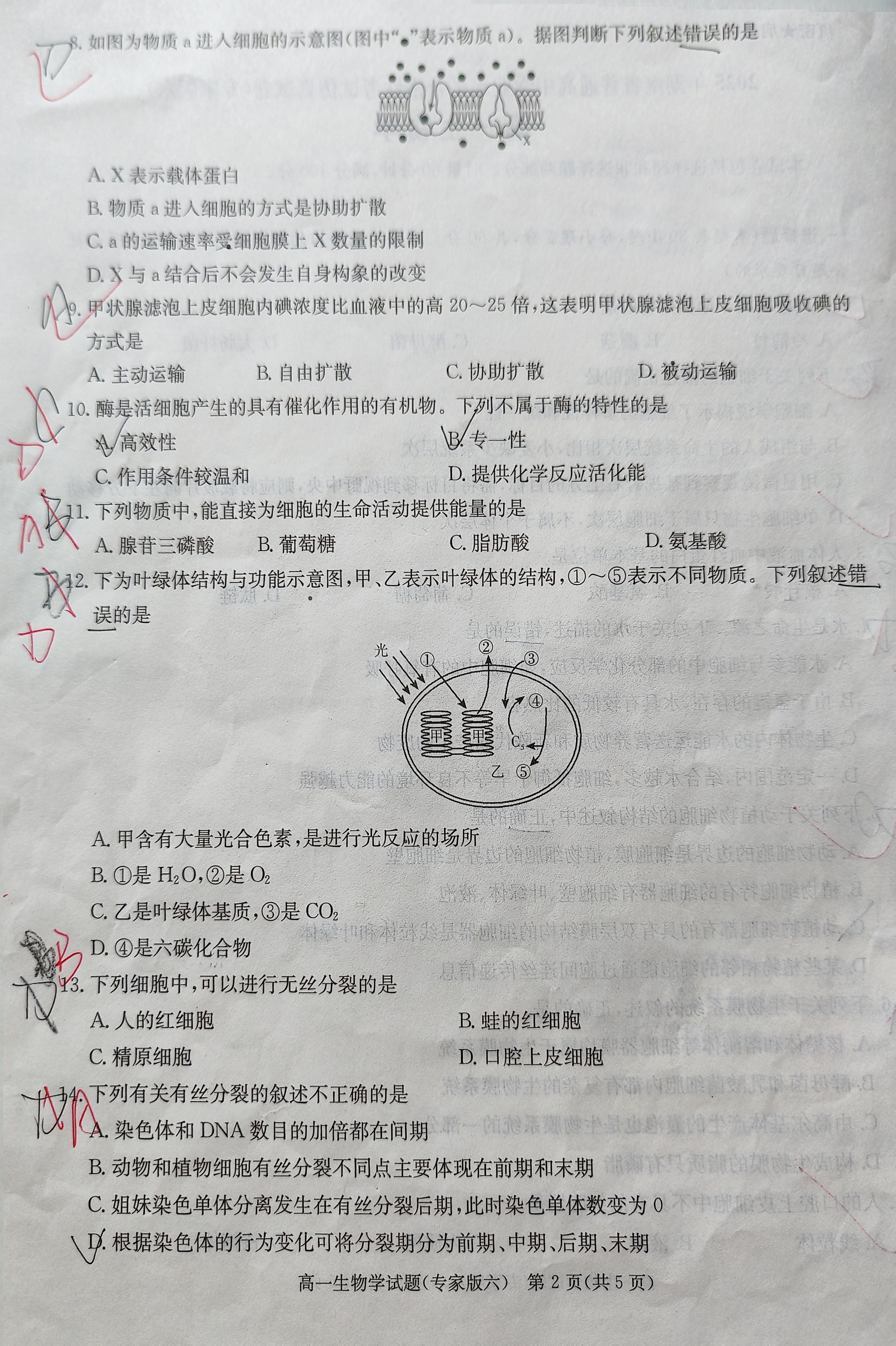 上进联考·2025-2026学年高一年级统一调研测试（开学考试）生物试题