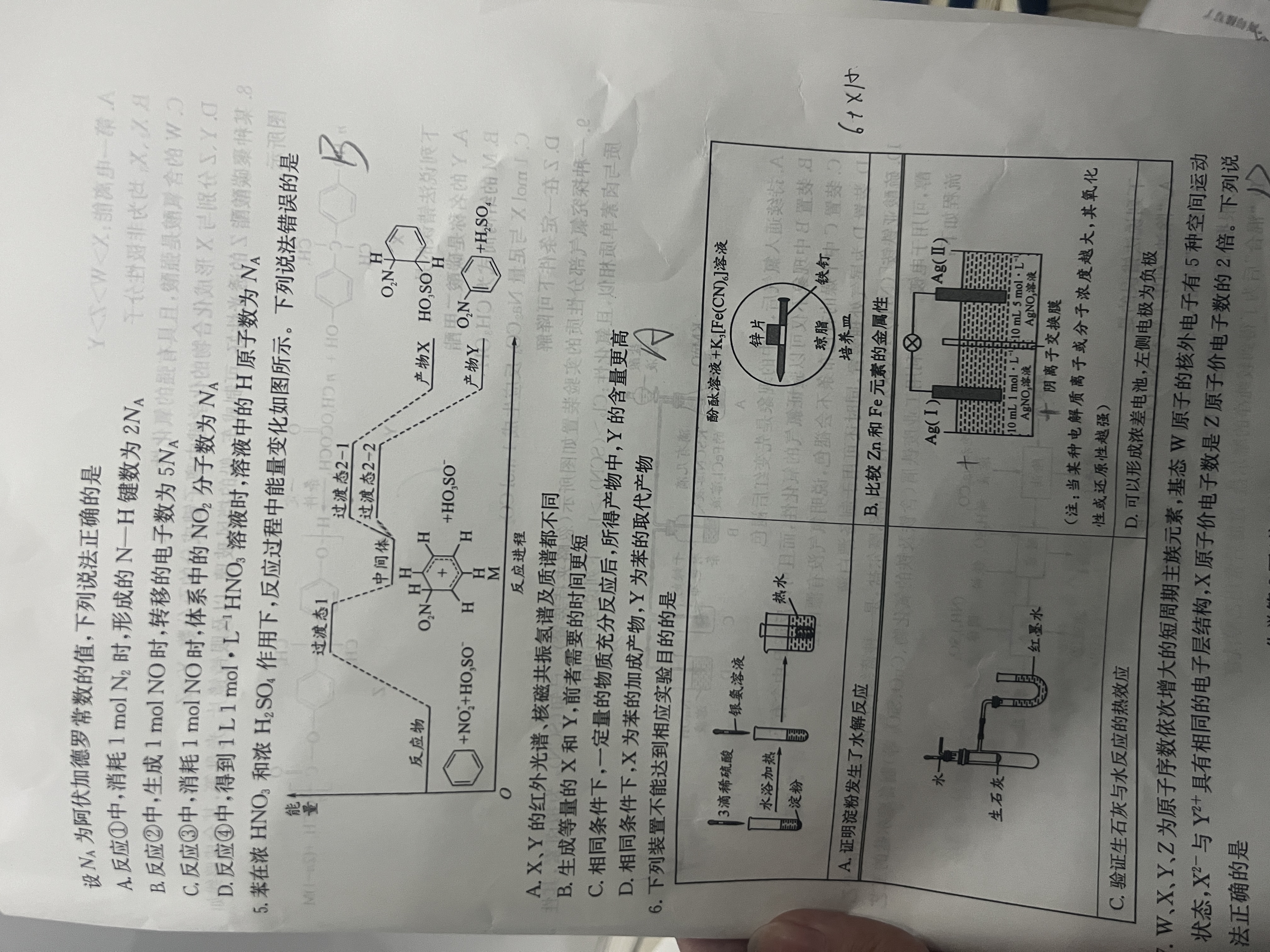 [文海大联考]2025届高三信息卷化学(辽宁)试题