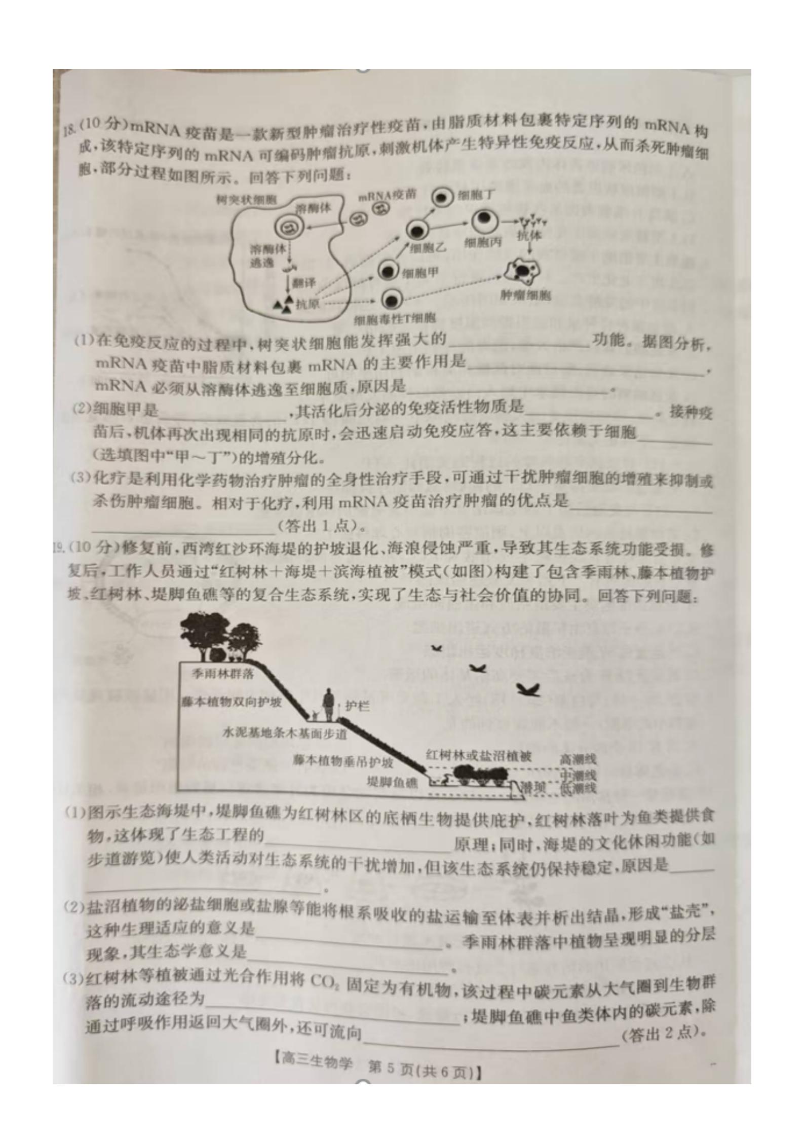 炎德英才大联考长郡中学2026届高三月考试卷(一)1生物答案