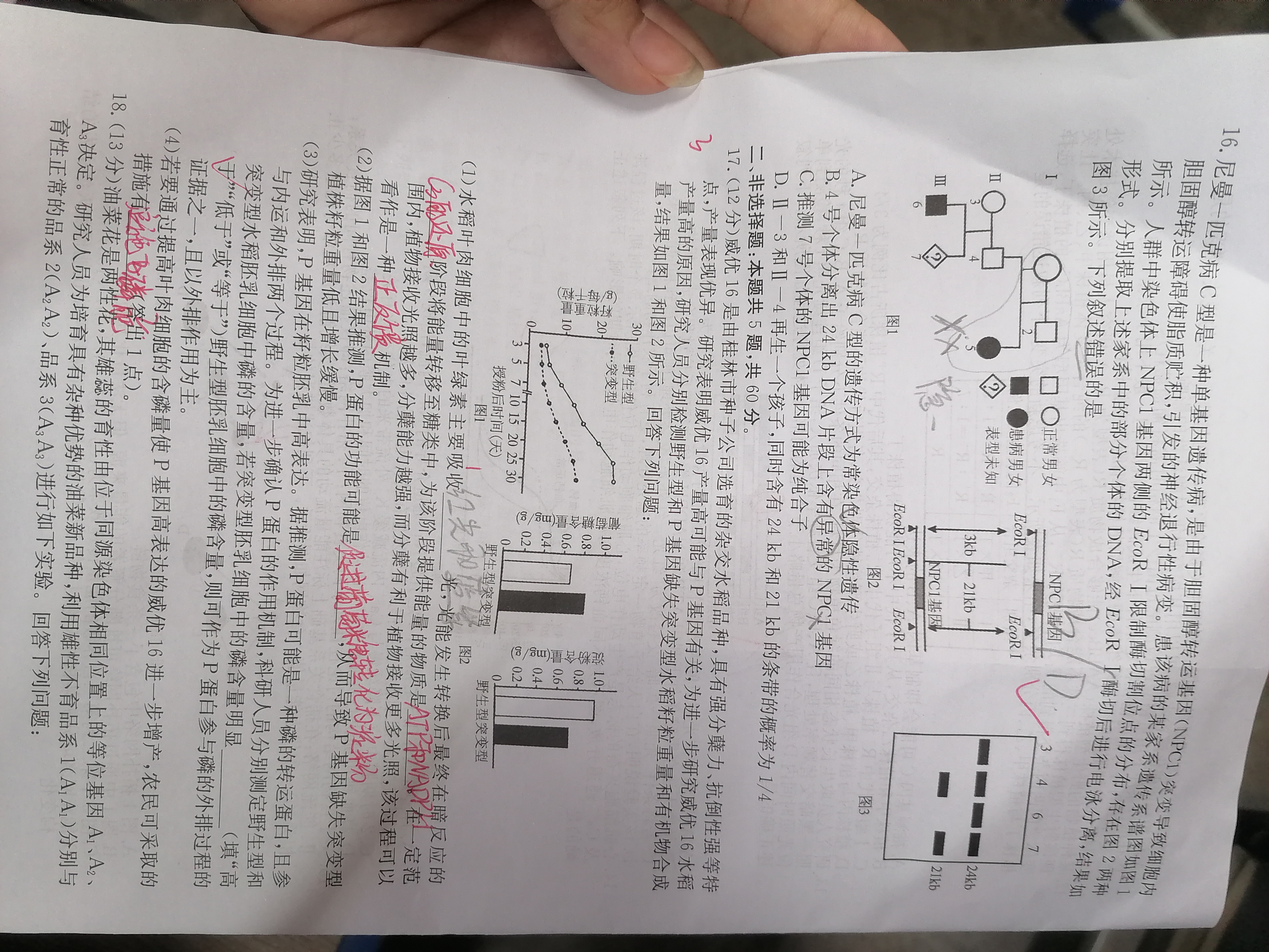 [智慧上进]2025届名校学术联盟·高考模拟信息卷&冲刺卷&预测卷(十)10生物·HEN试题