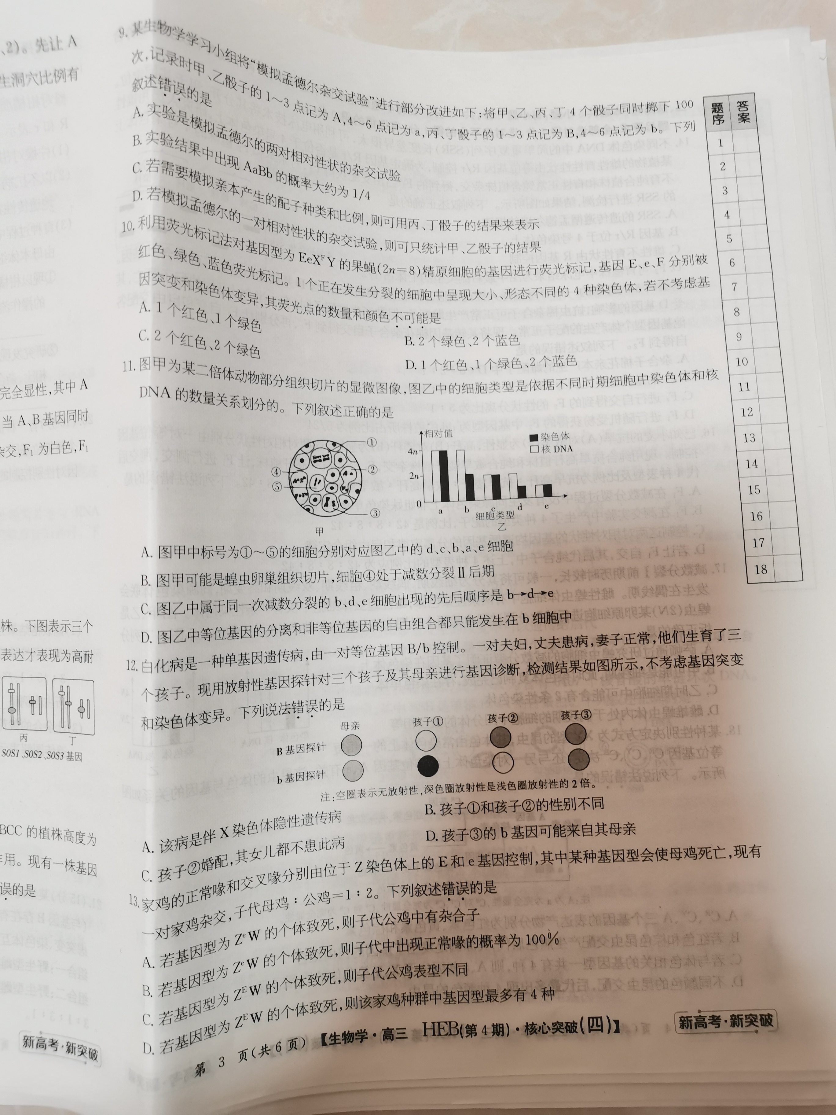 [九师联盟]2025~2026学年高三核心模拟卷(上)·(一)1生物A答案