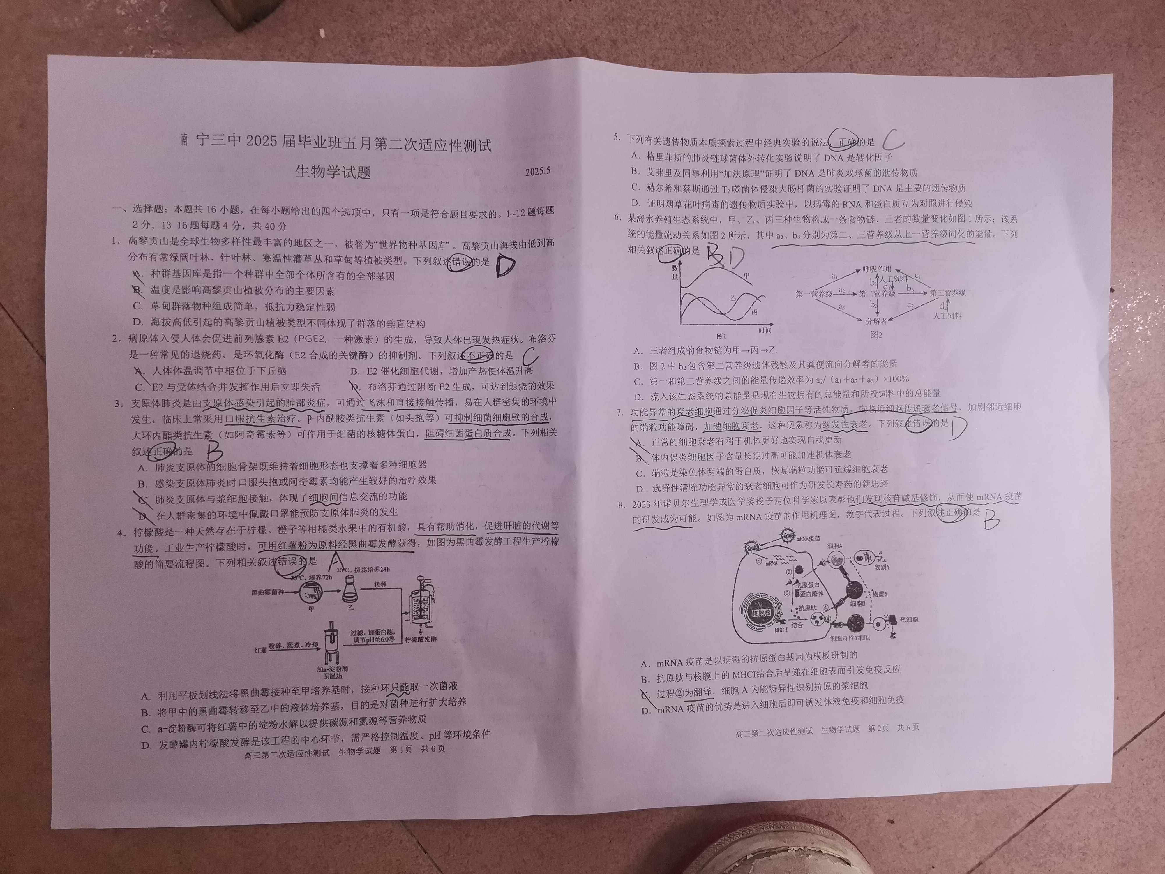 内蒙古呼和浩特市2026届高三年级第一次教学质量监测生物试题
