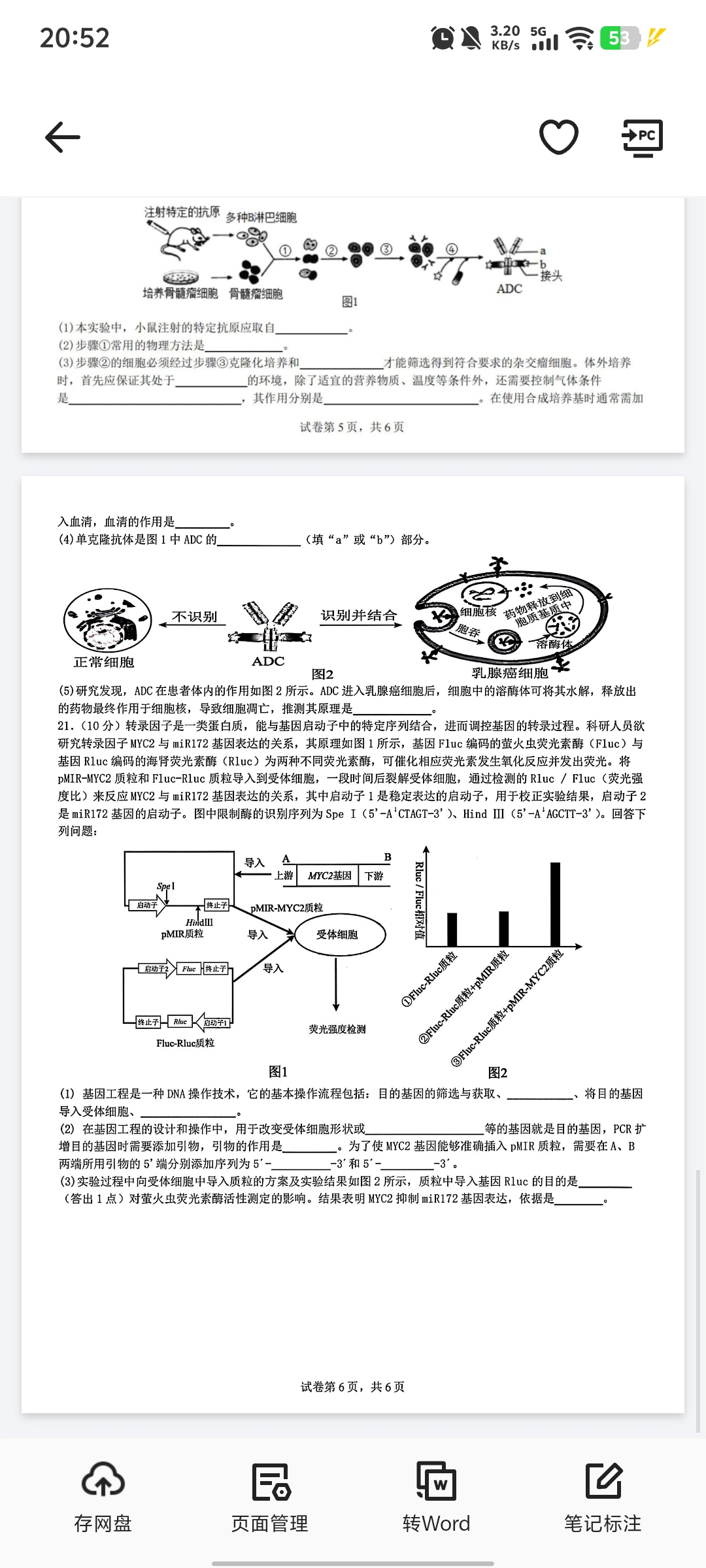 三晋卓越联盟2025~2026学年高二8月开学收心考生物答案