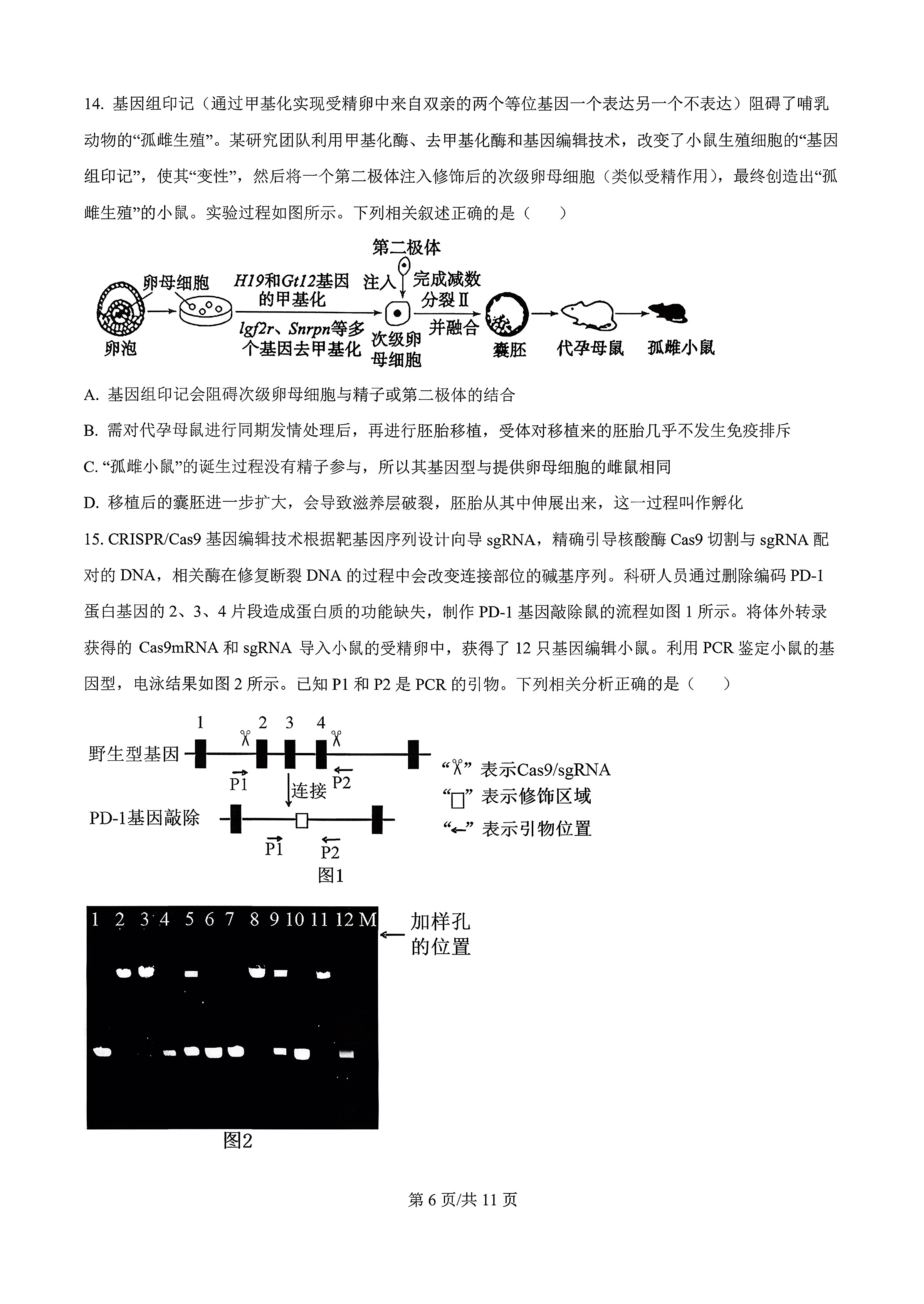 [九师联盟]2025~2026学年高三核心模拟卷(上)·(一)1生物D试题
