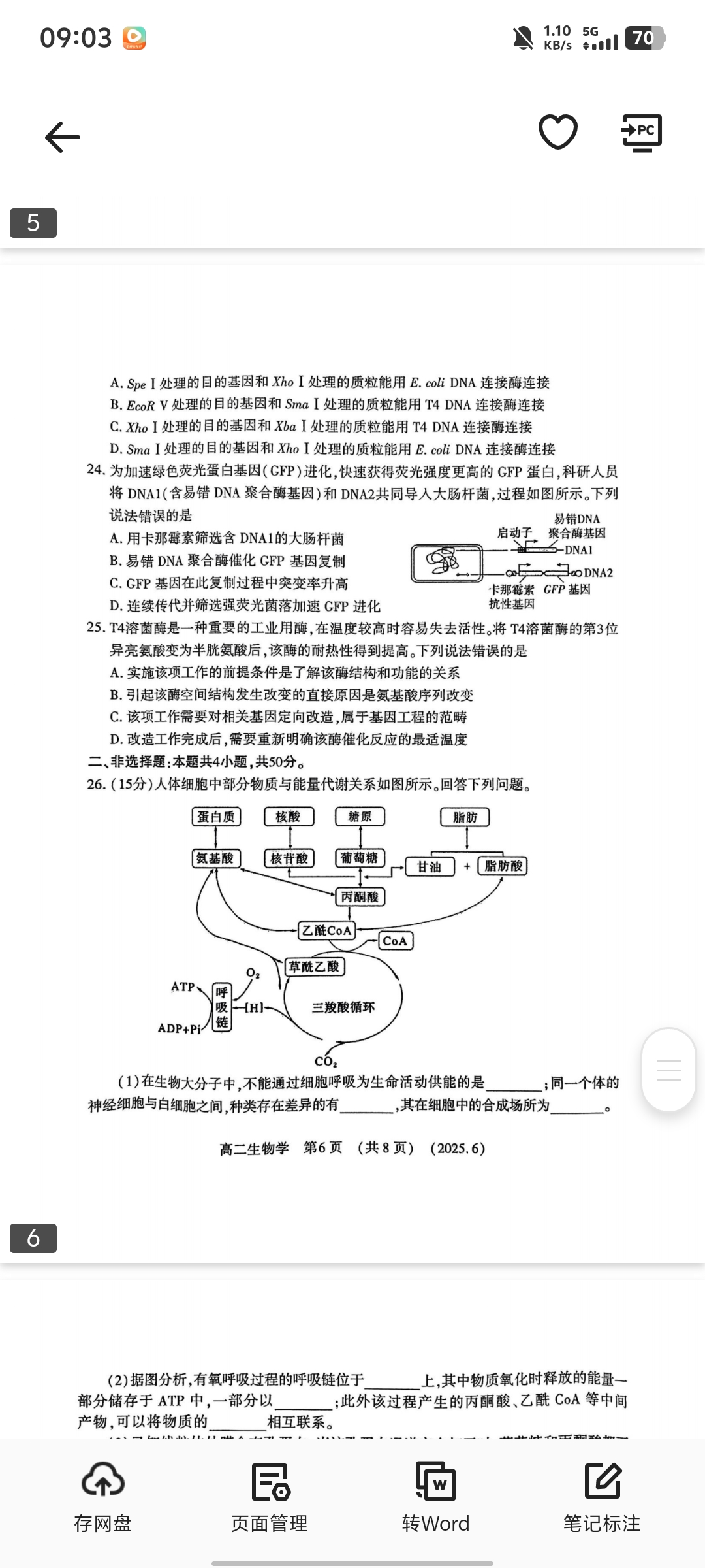 湖南省衡阳市祁东县2025年上期期末教学质量监测试卷七年级生物试题
