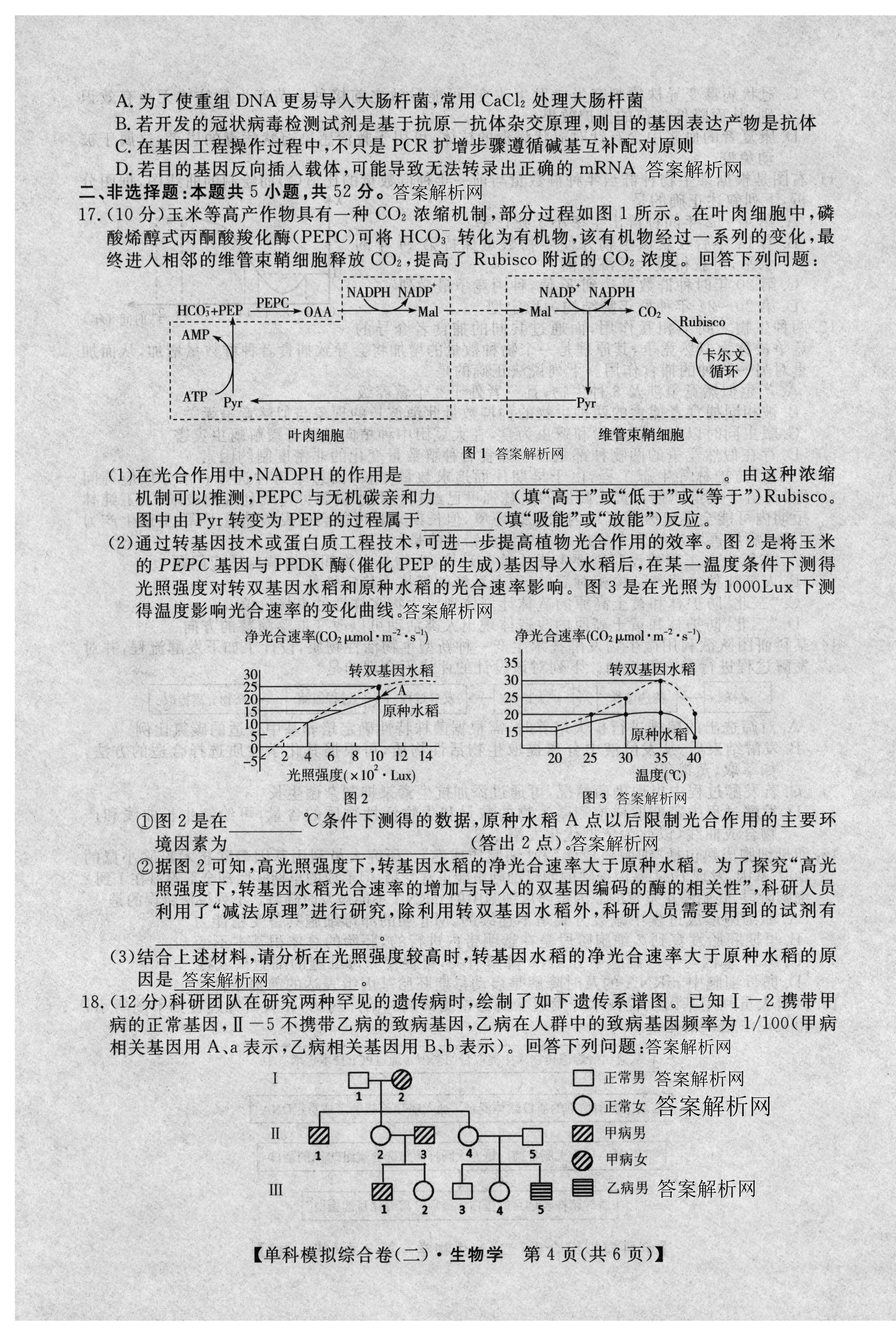 1号卷·A10联盟2024级高二上学期9月学情调研生物试题