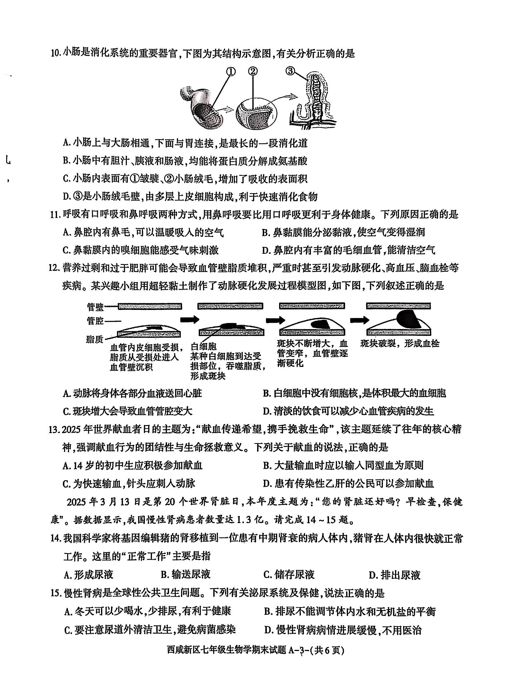 [九师联盟]2026届高三9月开学考(角标含G)生物G答案