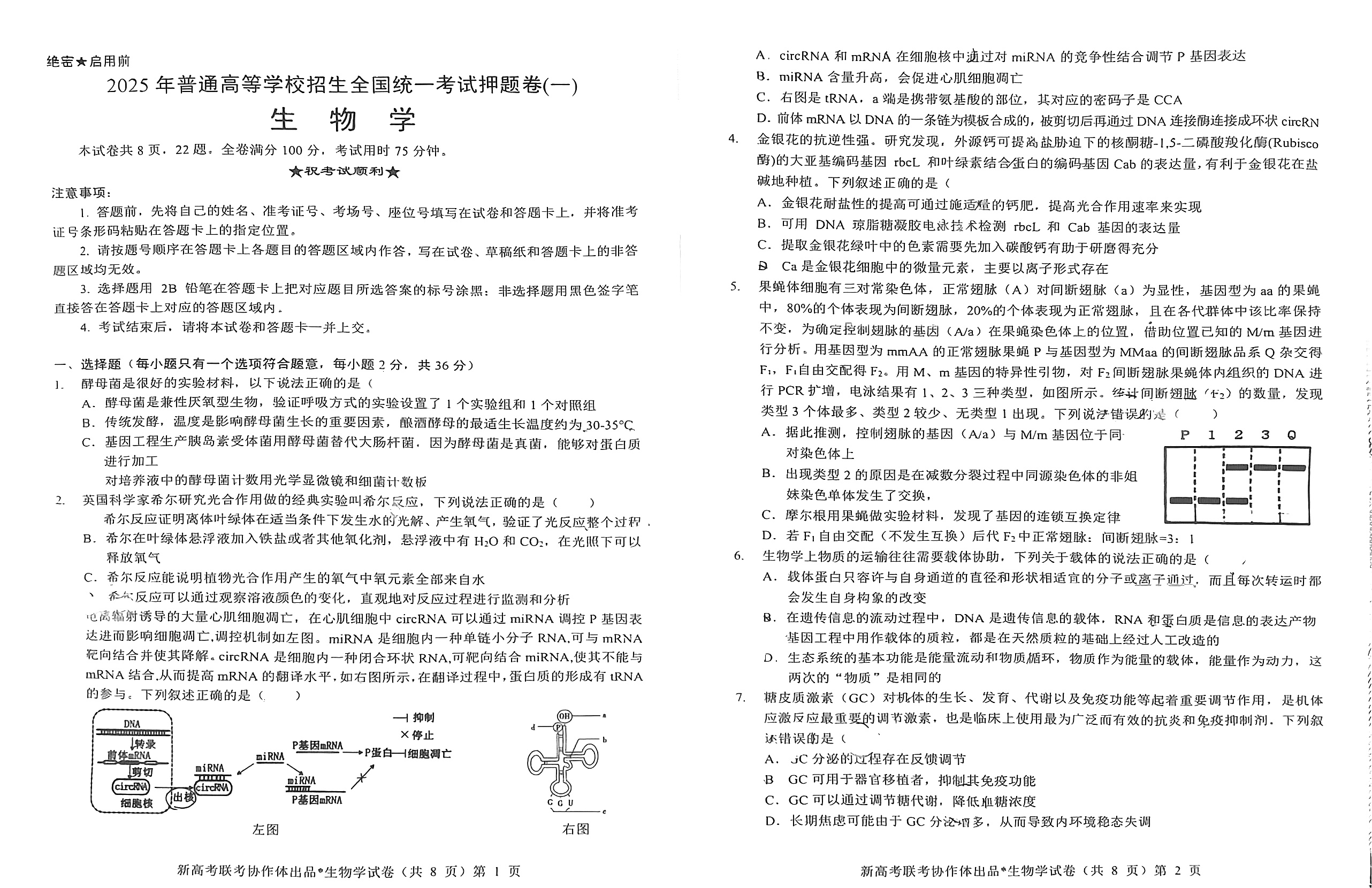 高三2025年普通高校招生考试精准预测卷(二)2生物A试题