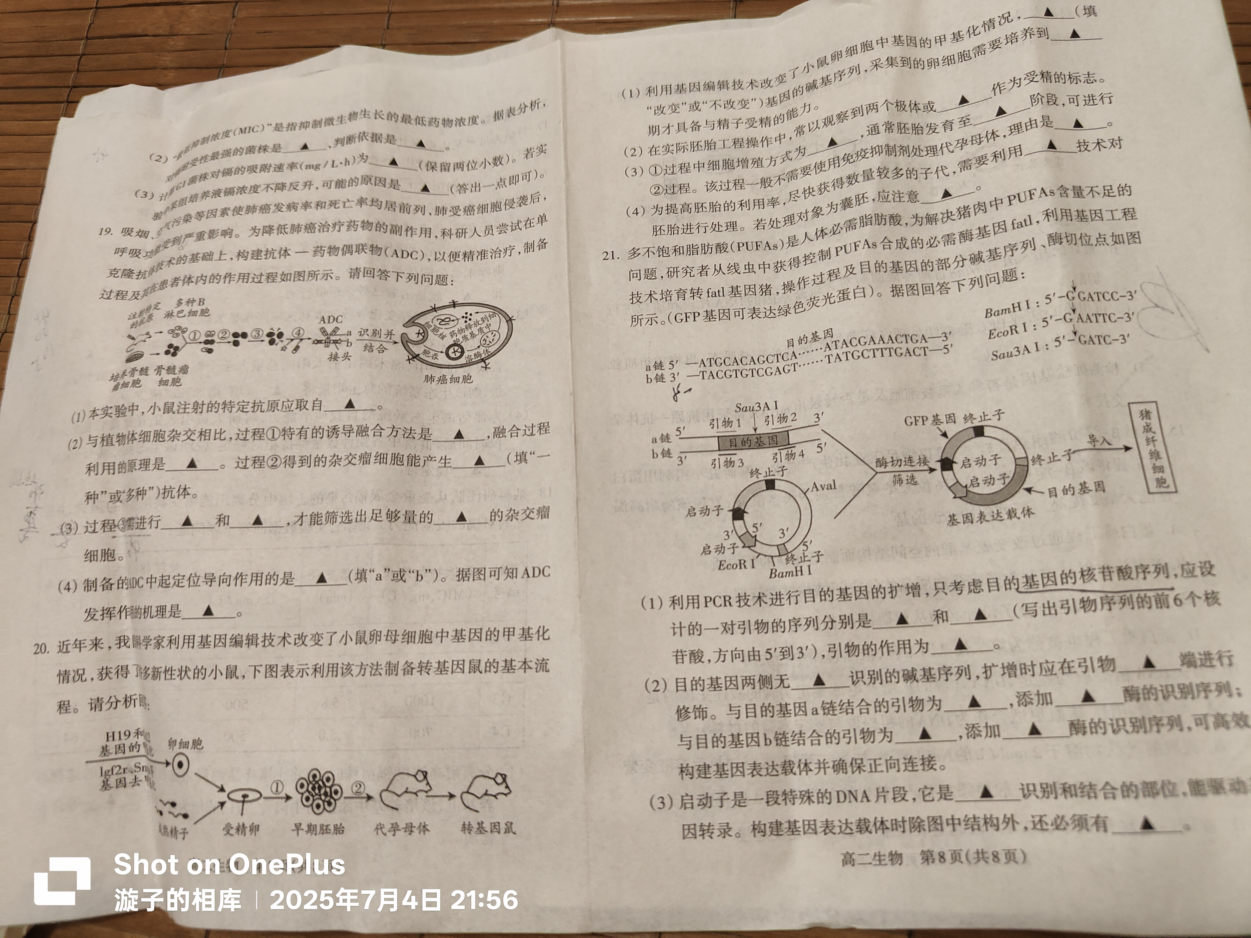 [九师联盟]2026届9月高三开学考生物学LY试题