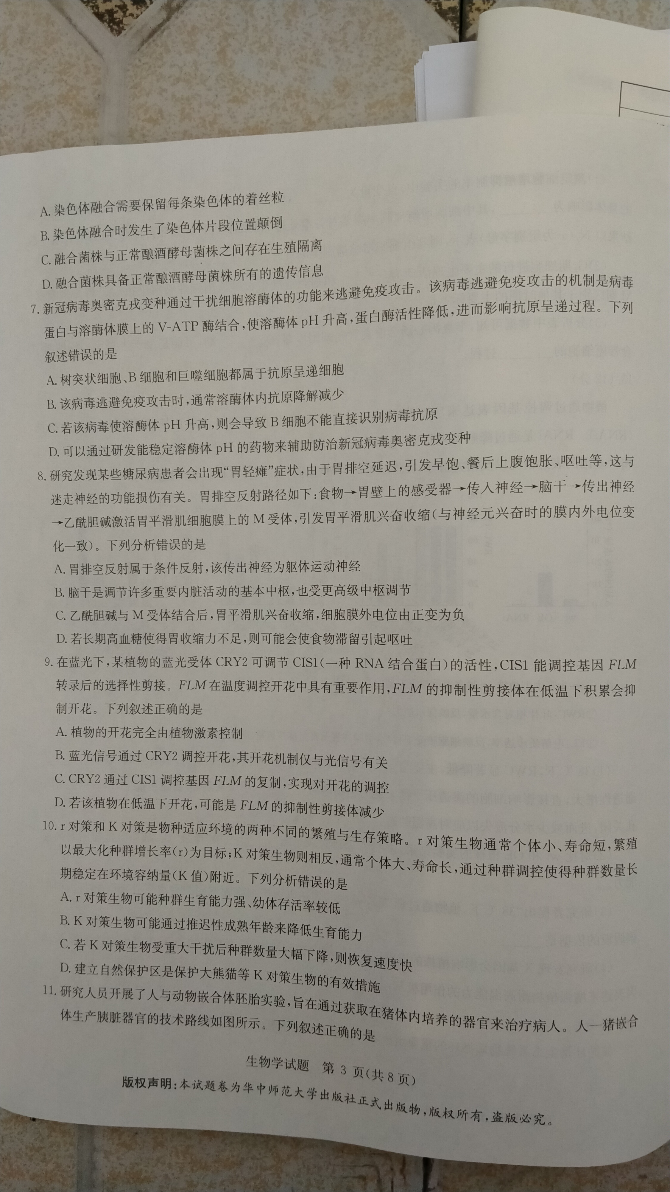 1号卷·A10联盟2024级高二上学期9月学情调研生物答案